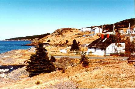 The House on the Beach in Harbour Main