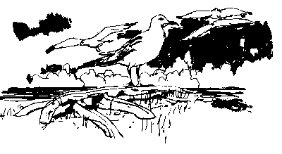 36 - Saved From The Seas