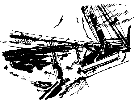 22 - A Wild Cove Story