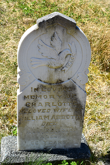 Charlotte Abbott