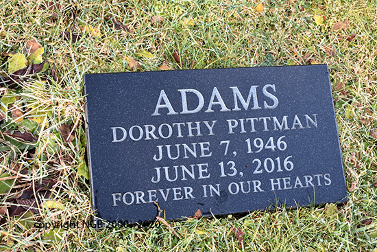Dorothy Adams