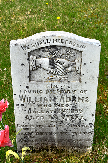 William Adams