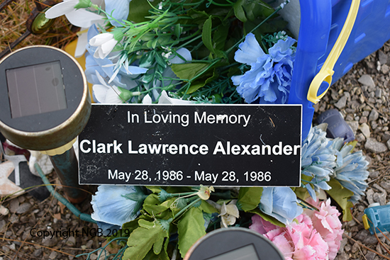 Clark Lawrence Alexander