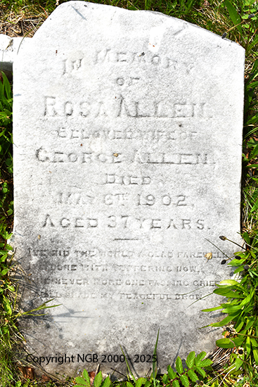 Rosa Allen