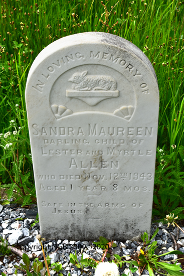 Sandra Maureen Allen