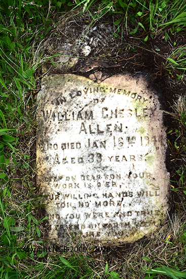 William Chesley Allen