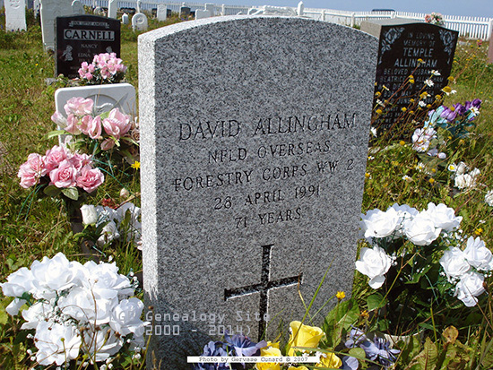 David Allingham