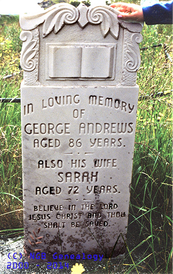George & Sarah Andrews