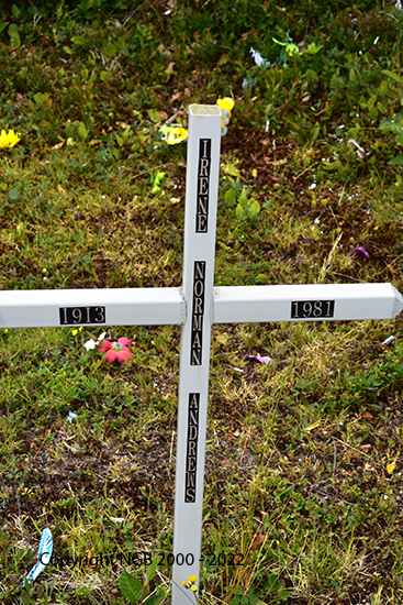 Irene Norman Andrews