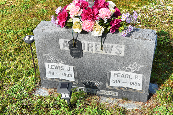 Lewis & Pearl Andrews