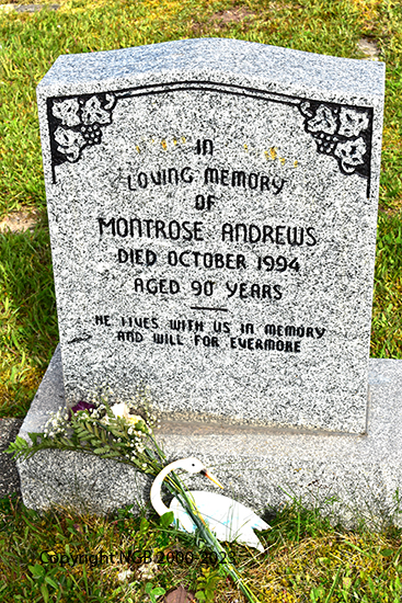 Montrose Andrews
