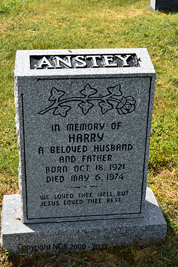 Harry Anstey