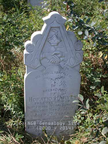 Horatio Harvey Anthony