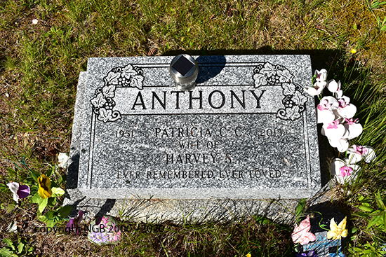Patricia C. C. Anthony