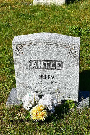 Henry Antle