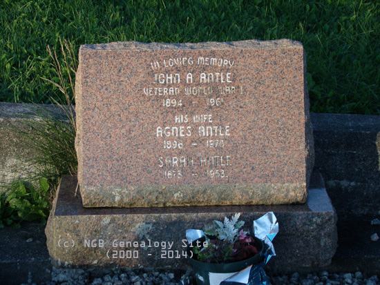 John A, Agnes & Sarah Antle