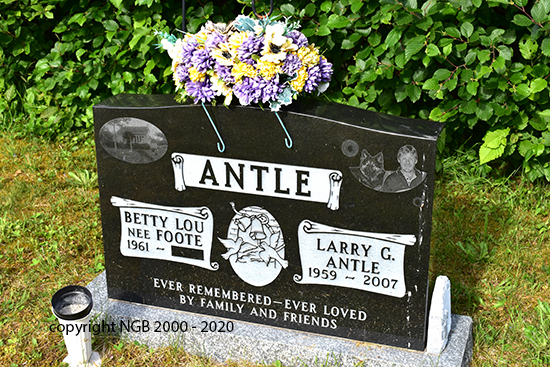 Larry G. Antle