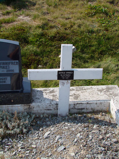 Mrs A.B. Winnifred Antle