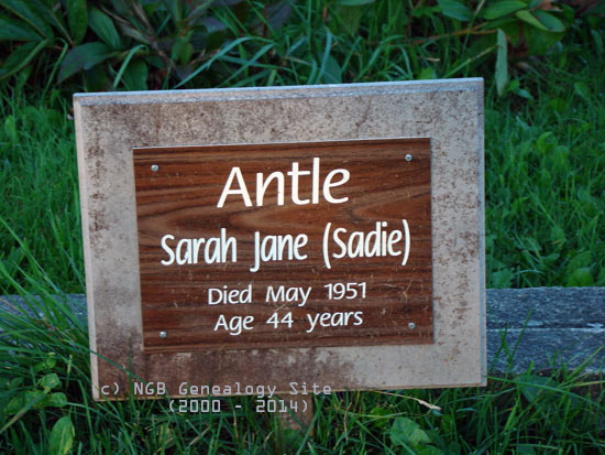 Sarah Jane Antle