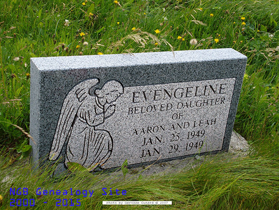Evangeline Applin