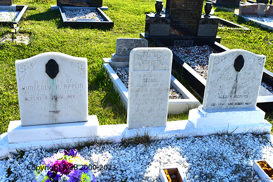 George, Kimberly & Karen Applin