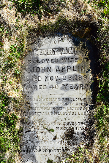mary Ann Applin