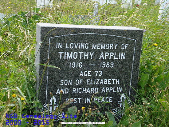 Timothy Applin