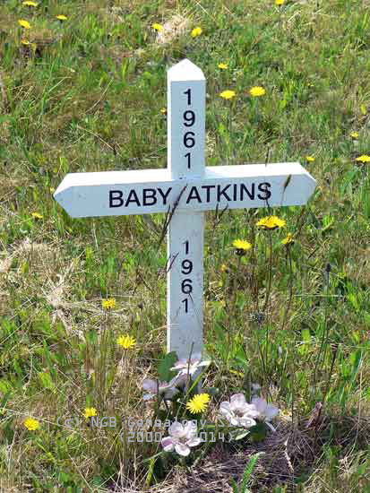 Baby Atkins