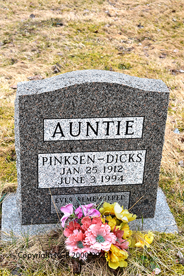 Auntie Pinksen-Dicks