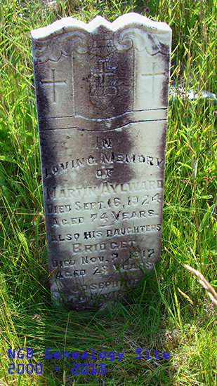 Martin, Bridget & Josephine Aylward