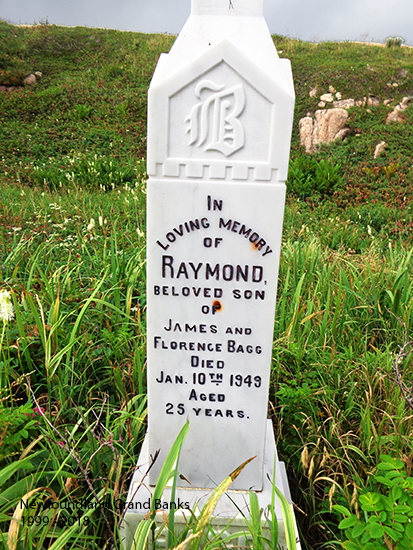 Raymond Bagg