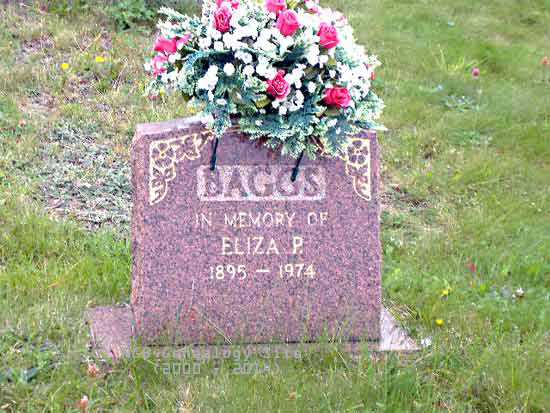 Eliza Baggs