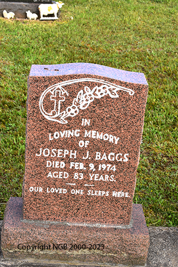 Joseph J. Baggs