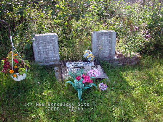 Joseph, William and Lilly Baggs