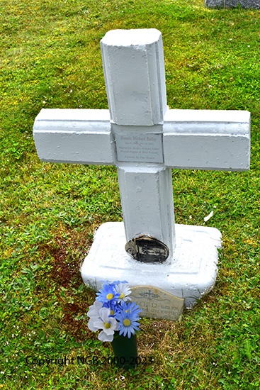 Dennis Michael Bailey