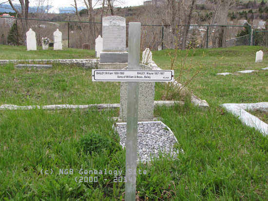 William and Wayne Bailey