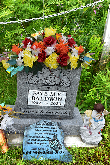 Walter G. & Faye Baldwin