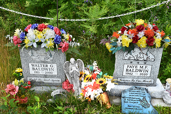 Walter G. & Faye Baldwin