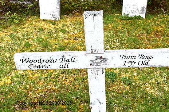 Woodrow & Cedric Ball