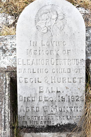 Eleanor Gertrude Ball