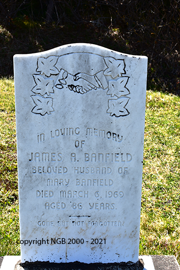 James A. Banfield