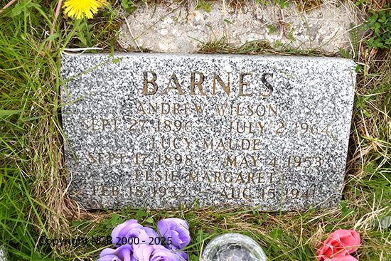 Andrew Wilson Barnes