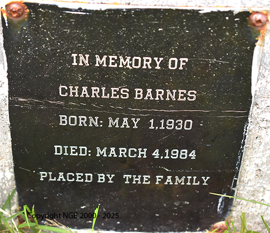 Charles Barnes