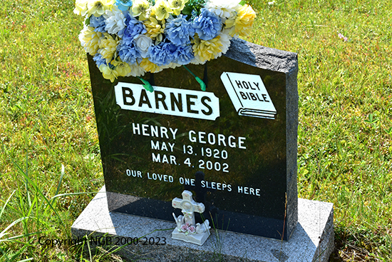 Henry George Barnes