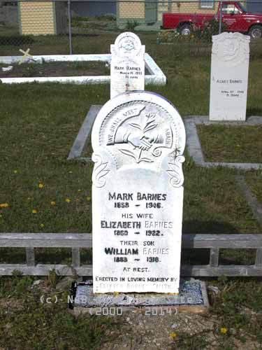 Mark, Elizabeth and William BARNES