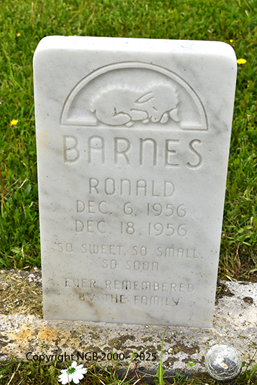 Ronald Barnes