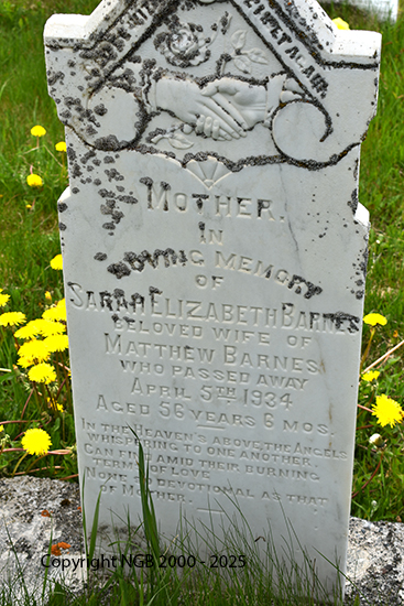 Sarah Elizabeth Barnes