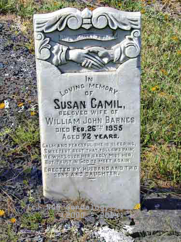 Susan Camil BARNES
