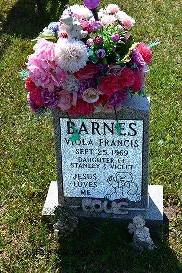 Viola Frances Barnes