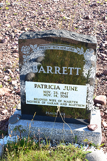 Patricia June Barrett